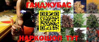 мяу мяу мука Кинель