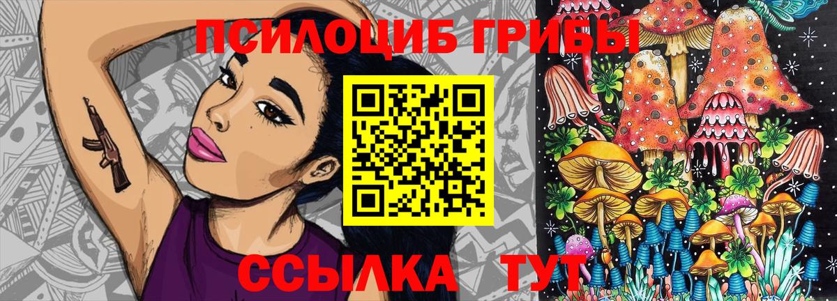 Псилоцибиновые грибы мухоморы Черногорск