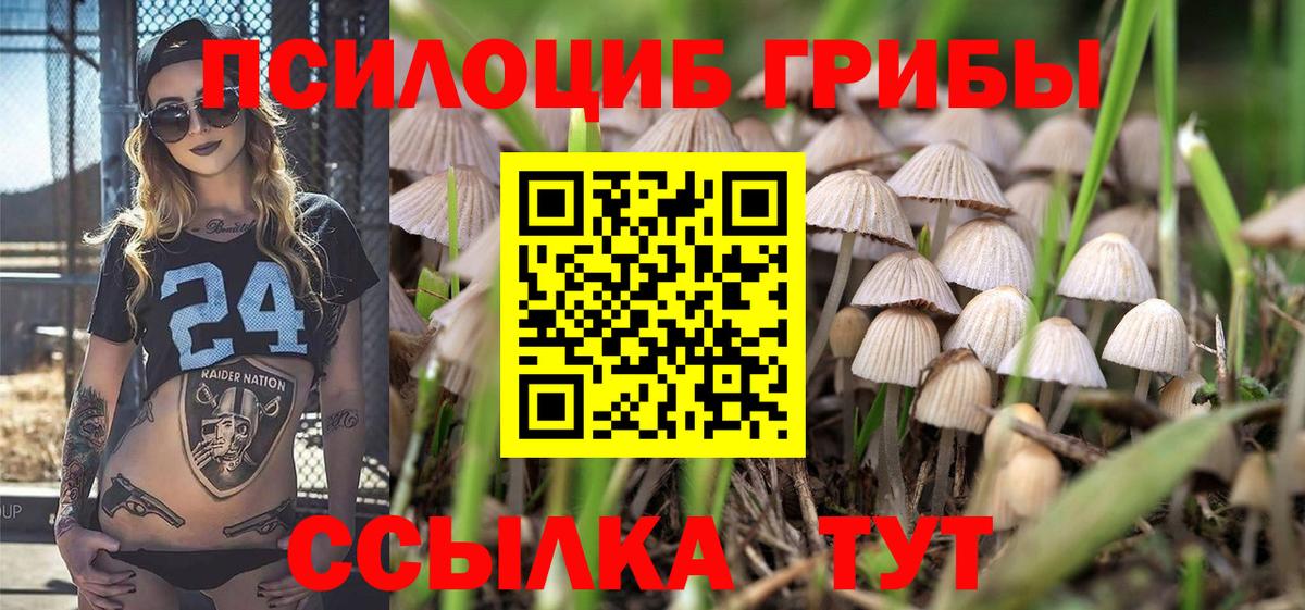 Черногорск  Псилоцибиновые грибы MAGIC MUSHROOMS  Вход с VPN 